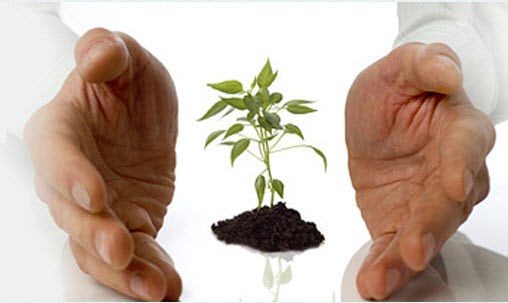 Dream Web Solution: Dream Web Solution