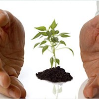 Портфолио Jessica Clement