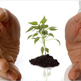 Dream Web Solution: Dream Web Solution